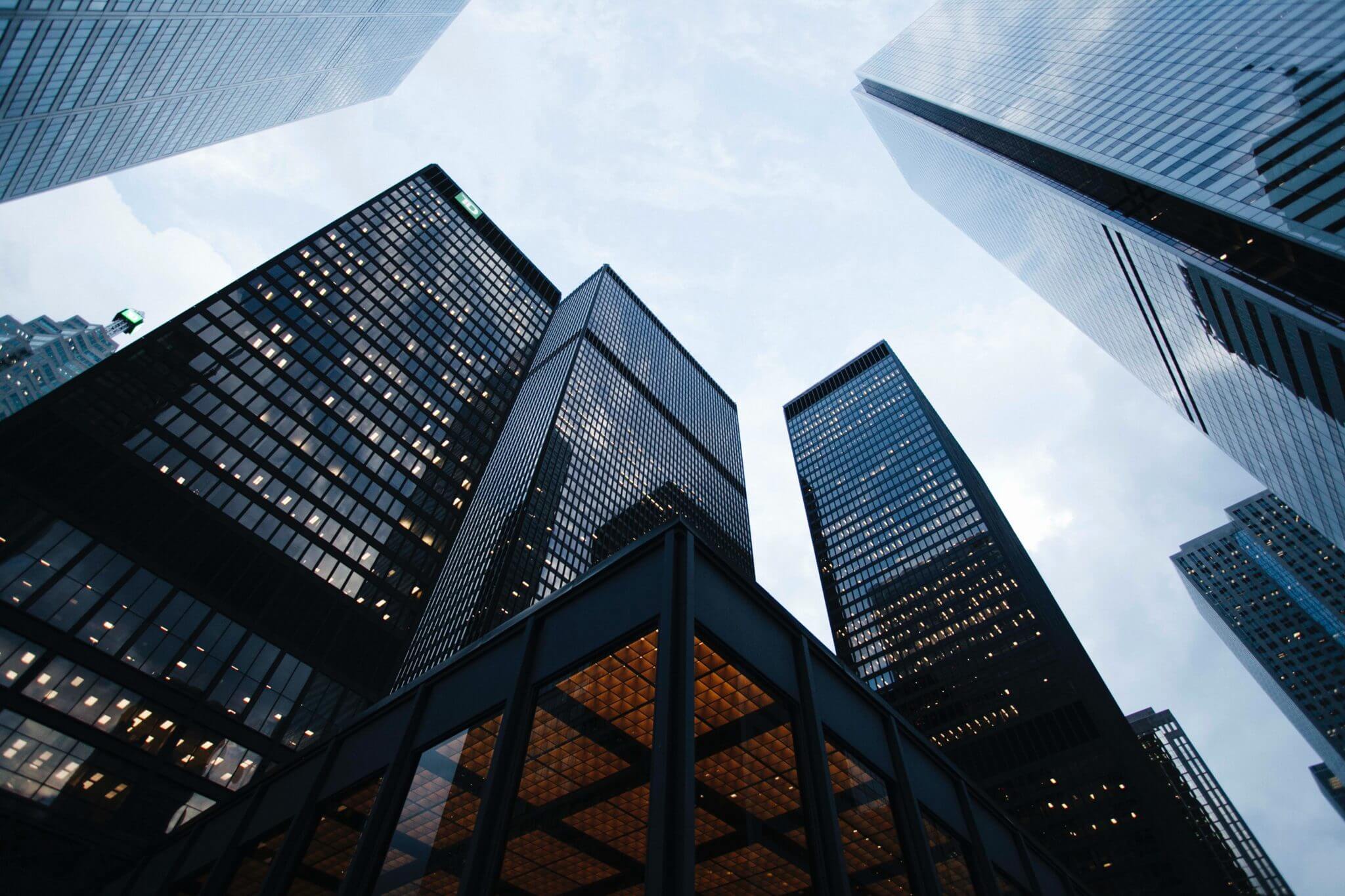 Startup vs. Big Company: Which is Right for You? | the twenty thrive